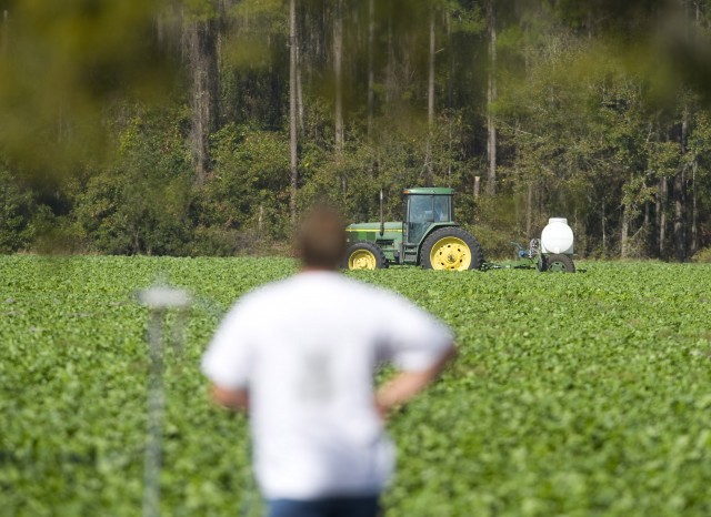 Forget GMOs. Pesticides Pose the Real Risk